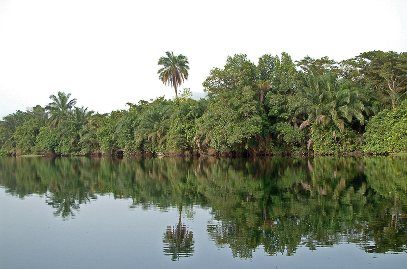 View to and from Adomi Bridge
